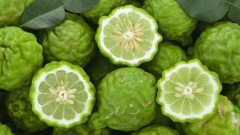 5.21.25-IMG-Bergamot photo showing whole and sliced bergamot fruits
