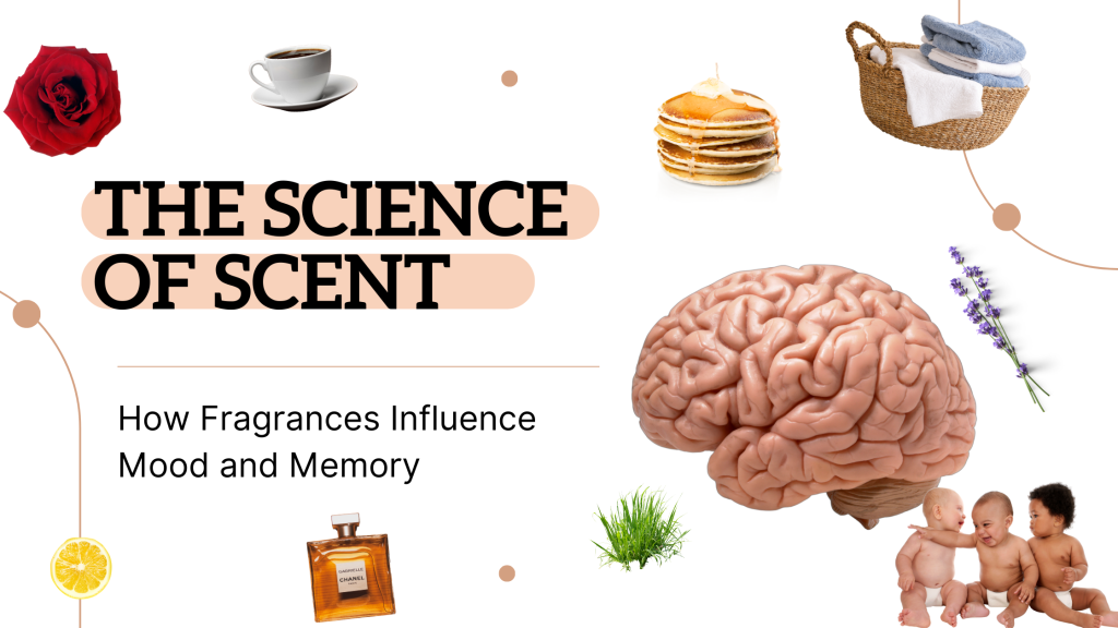 5.7.25-Hero-IMG-The Science of Scent How Fragrances Influence Mood and Memory