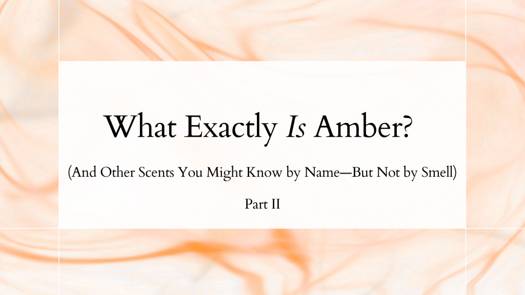 6.4.25-Hero-IMG-Part II What Exactly Is Amber (And Other Scents You Might Know by Name—But Not by Smell)