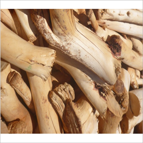 African-Sandalwood